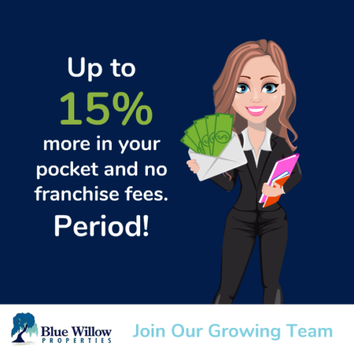 Blue Willow Facebook Promo