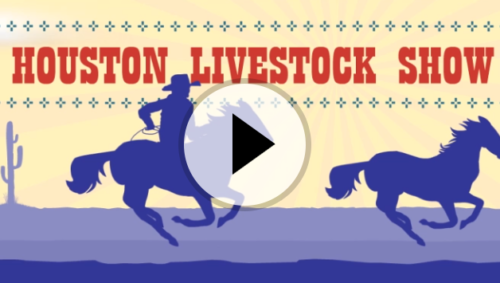 Rodeo Screen Stadium Intro
